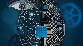 非侵入式脑机接口新突破：瘫痪者通过思维成功操控轮椅
