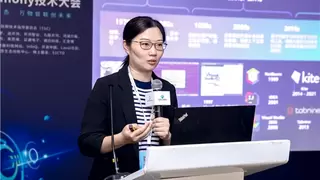 IDE工具如何融合大模型技术，提升应用开发效率与质量