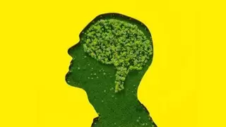 人工智能能耗挑战与可持续性解决方案探讨