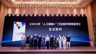 2025人工智能+行业标杆案例荟萃｜实用指南