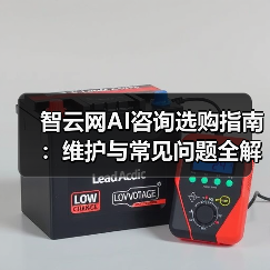 智云网AI咨询选购指南:维护与常见问题全解析2025(图2) 智云网AI咨询选购指南:维护与常见问题全解析2025(图2)