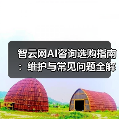 智云网AI咨询选购指南:维护与常见问题全解析2025(图4) 智云网AI咨询选购指南:维护与常见问题全解析2025(图4)