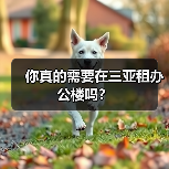 你真的需要在三亚租办公楼吗?(图4) 你真的需要在三亚租办公楼吗?(图4)