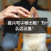 嘉兴写字楼出租？为什么选这里？